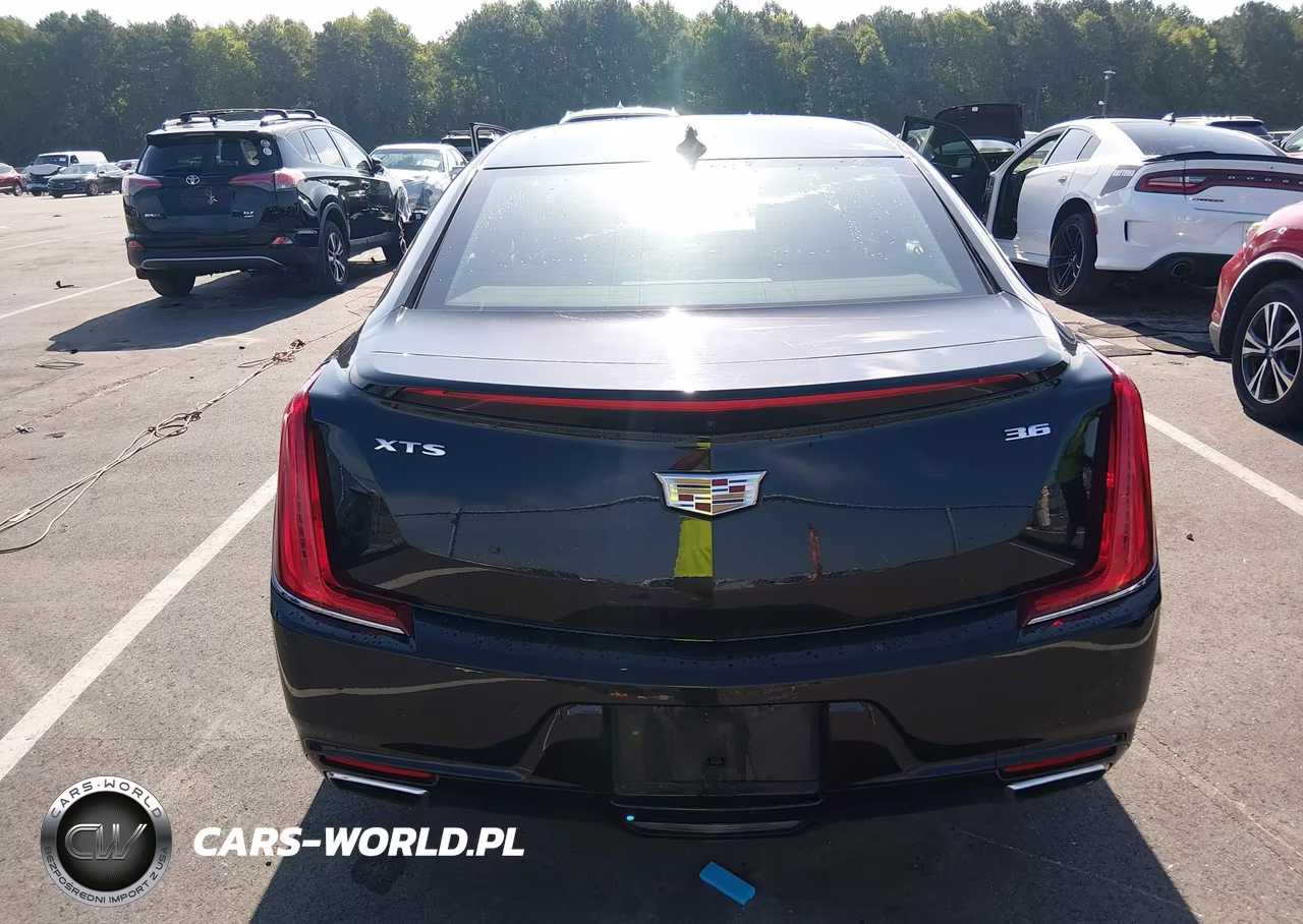 2019 Cadillac Xts Luxury VIN:2G61M5S39K9130772 - 16