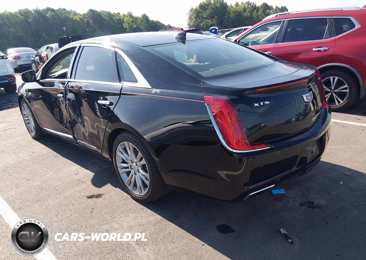 2019 Cadillac Xts Luxury VIN:2G61M5S39K9130772 - 3