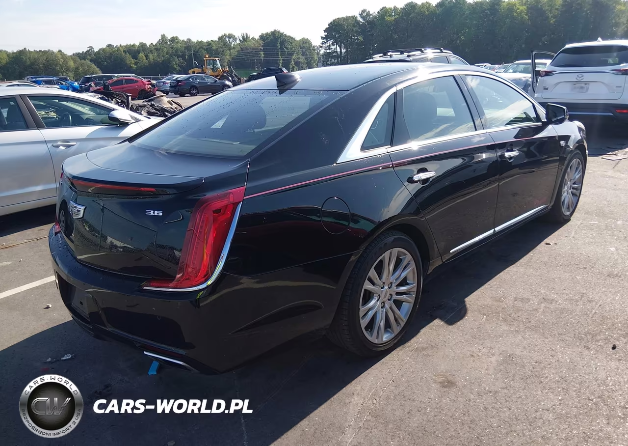 2019 Cadillac Xts Luxury VIN:2G61M5S39K9130772 - 4
