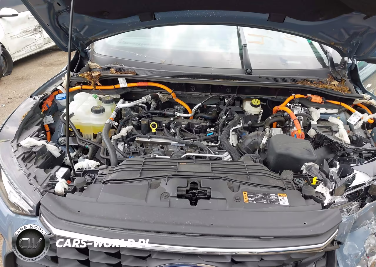 2025 Ford Escape Phev VIN:1FMCU0E13SUA53365 - 10