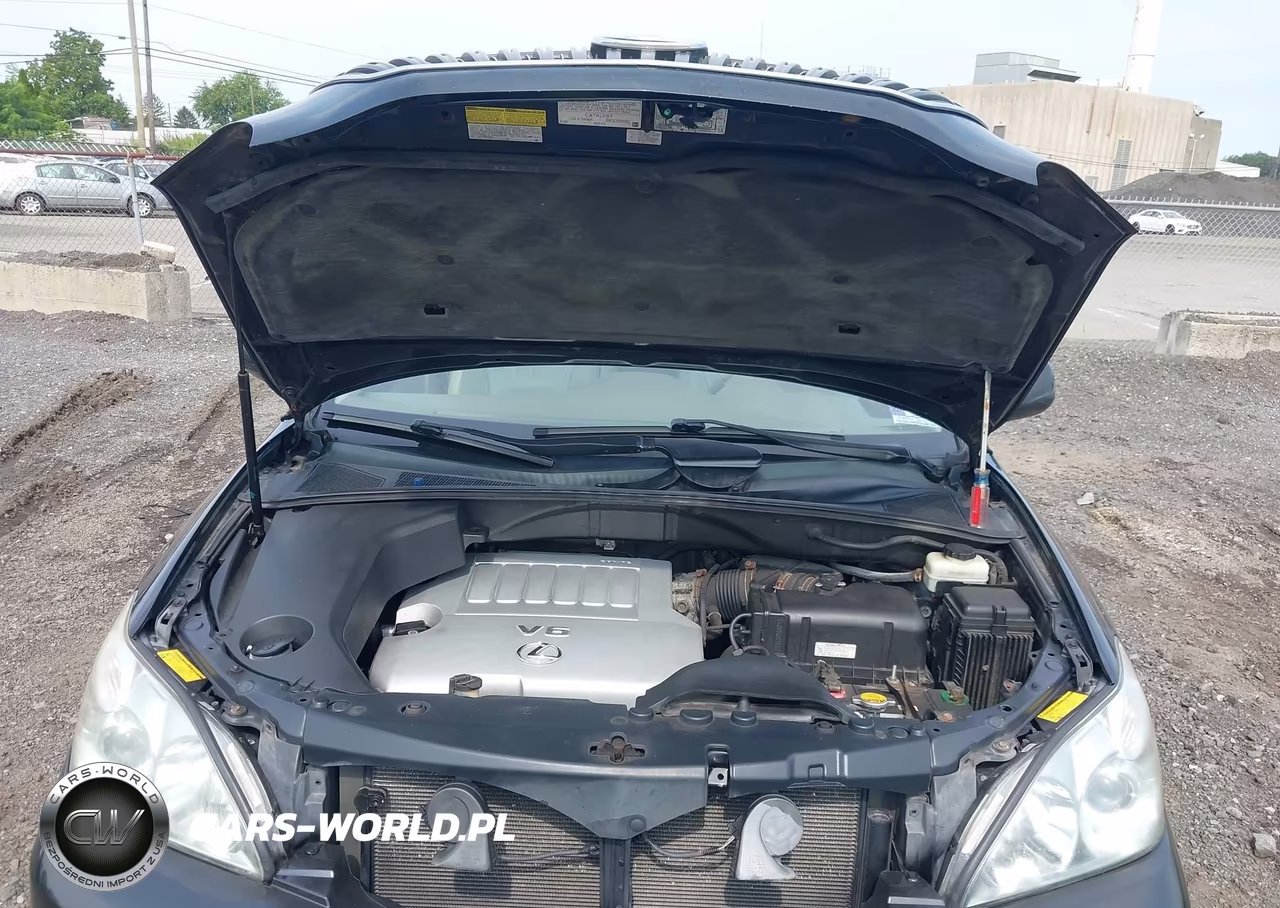 2007 Lexus Rx 350 VIN:2T2HK31U37C004944 - 10