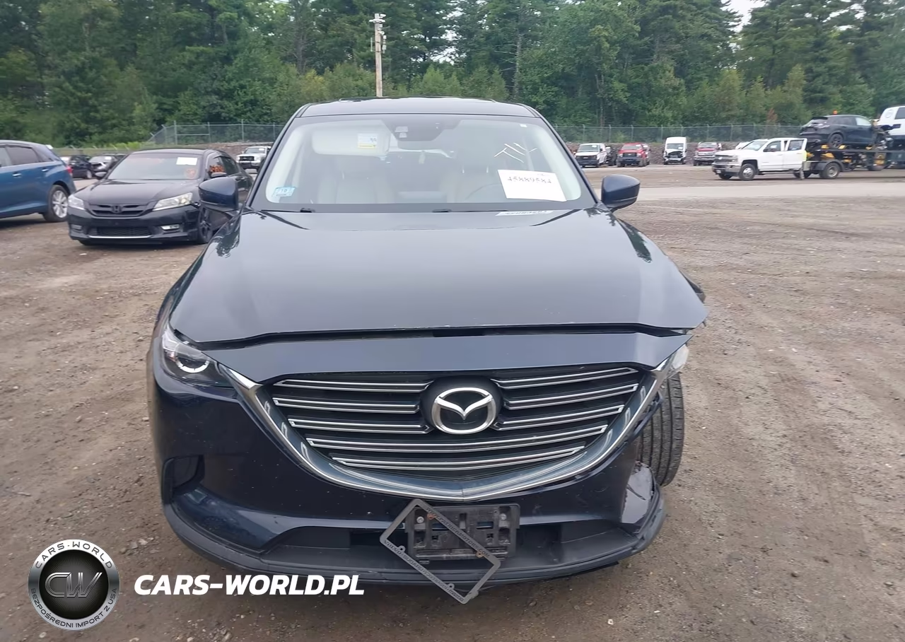 2016 Mazda Cx-9 Touring VIN:JM3TCBCY5G0100971 - 13