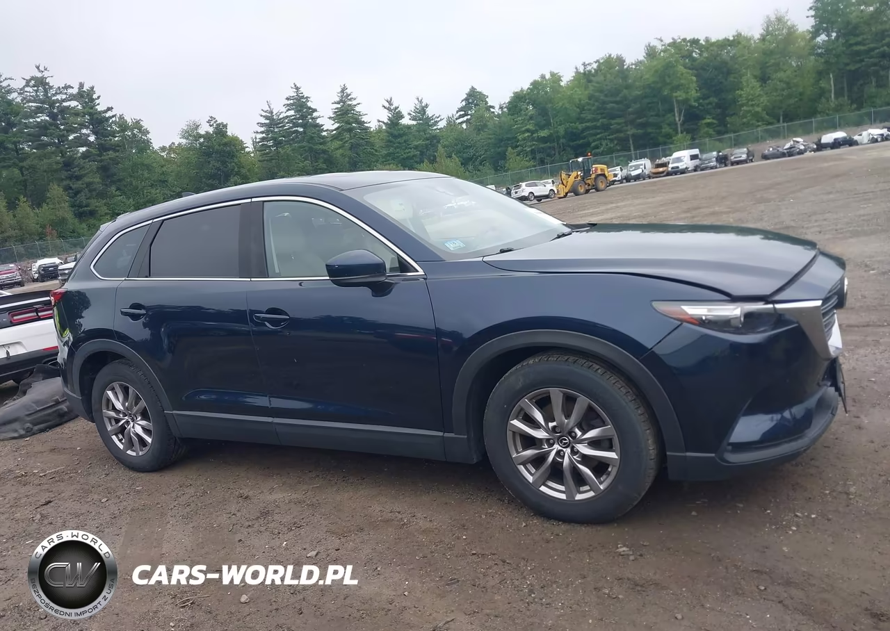2016 Mazda Cx-9 Touring VIN:JM3TCBCY5G0100971 - 14