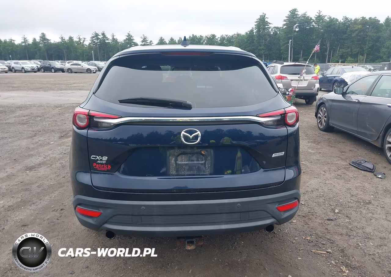 2016 Mazda Cx-9 Touring VIN:JM3TCBCY5G0100971 - 17