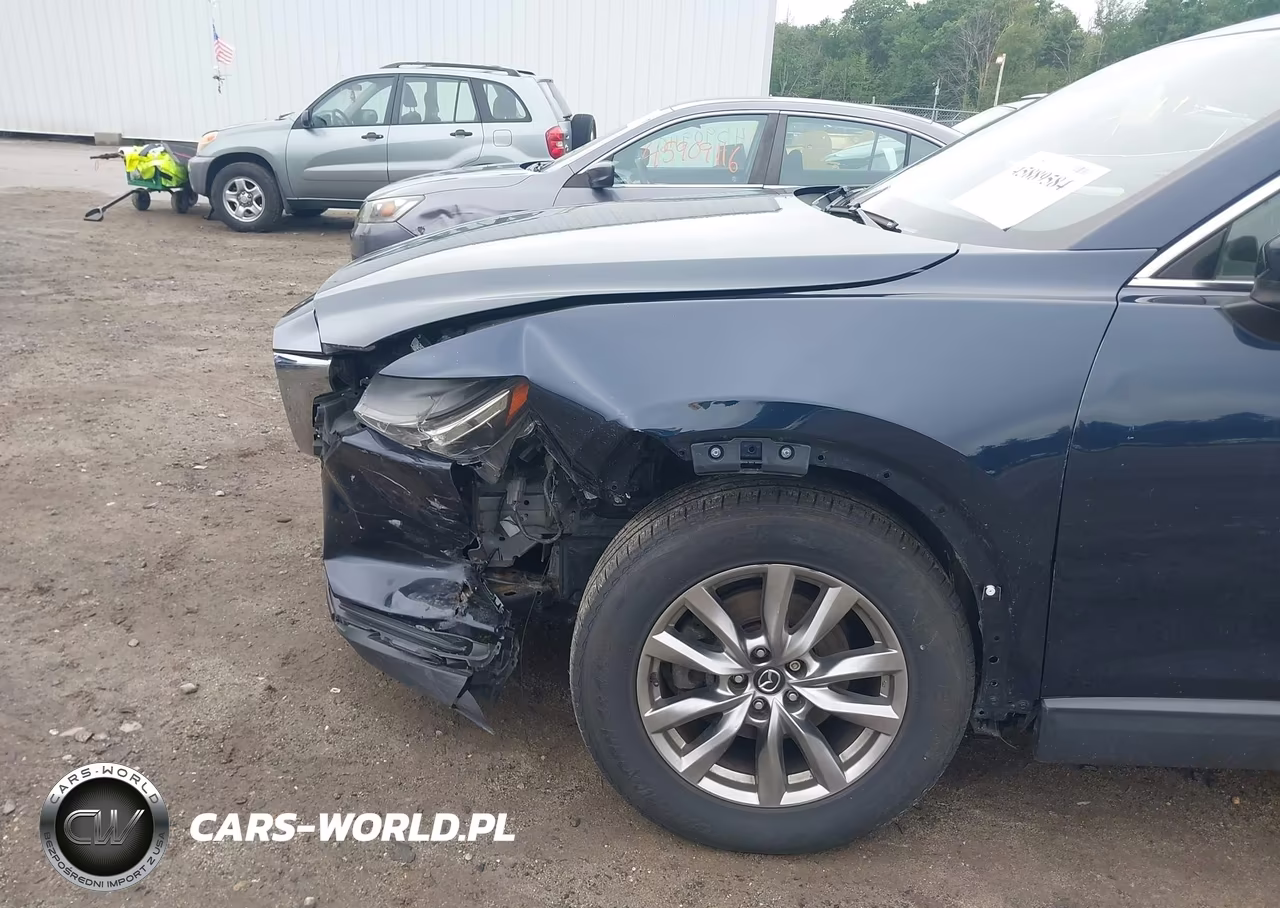 2016 Mazda Cx-9 Touring VIN:JM3TCBCY5G0100971 - 18
