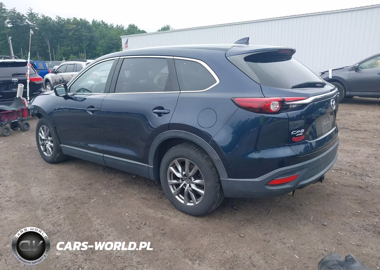 2016 Mazda Cx-9 Touring VIN:JM3TCBCY5G0100971 - 3