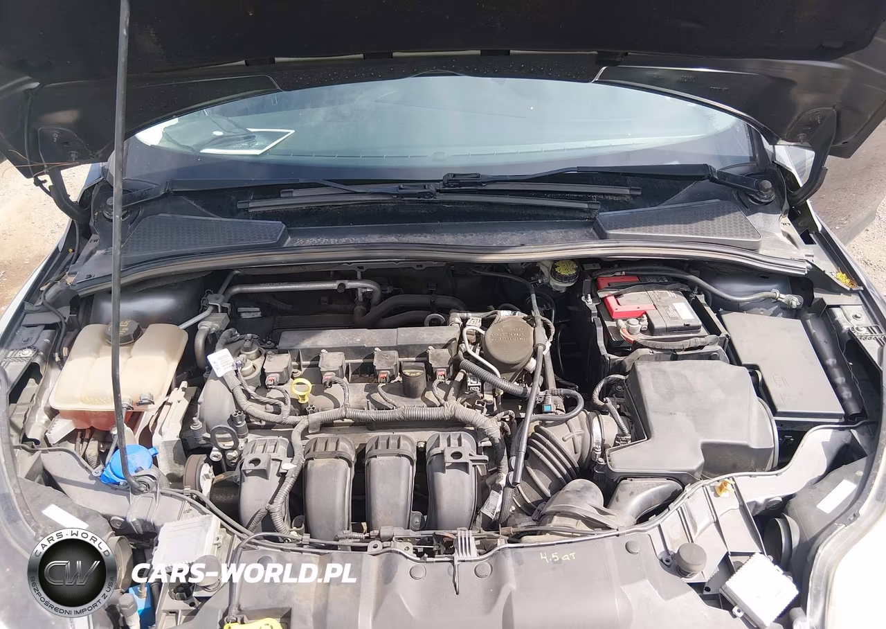 2014 Ford Focus Titanium VIN:1FADP3N21EL422699 - 10