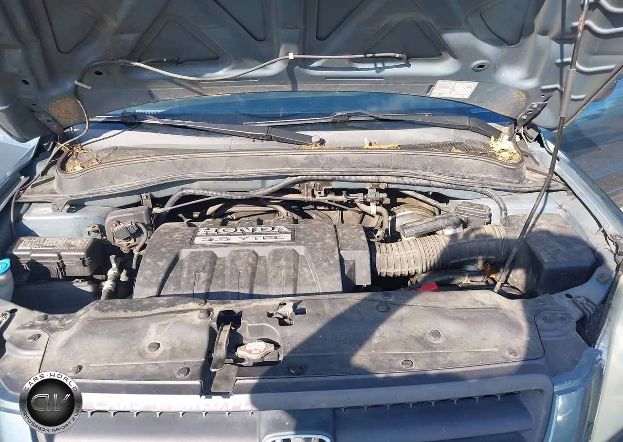 2005 Honda Pilot Ex VIN:5FNYF18445B025975 - 10
