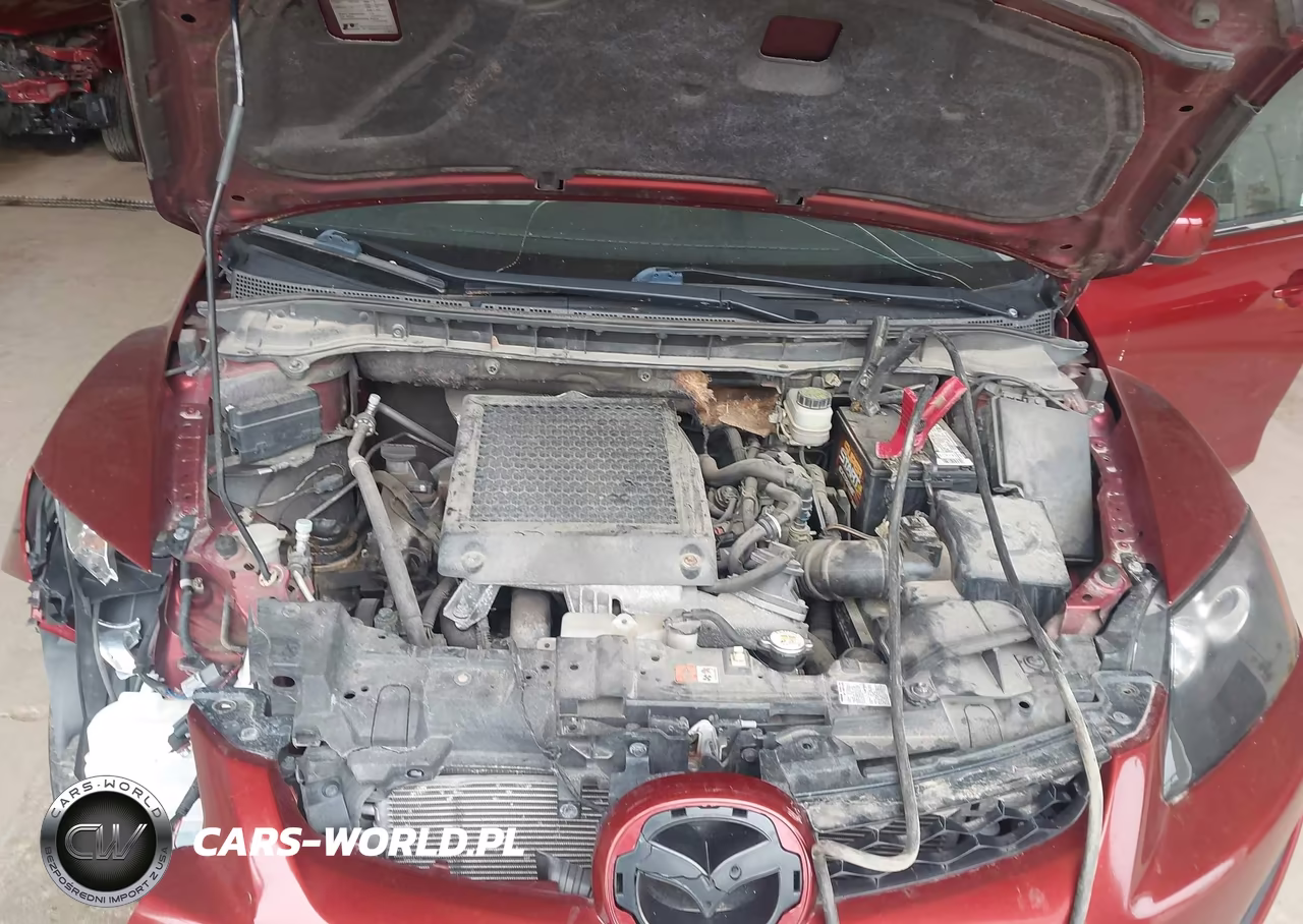 2010 Mazda Cx-7 S Touring VIN:JM3ER4W37A0314046 - 10