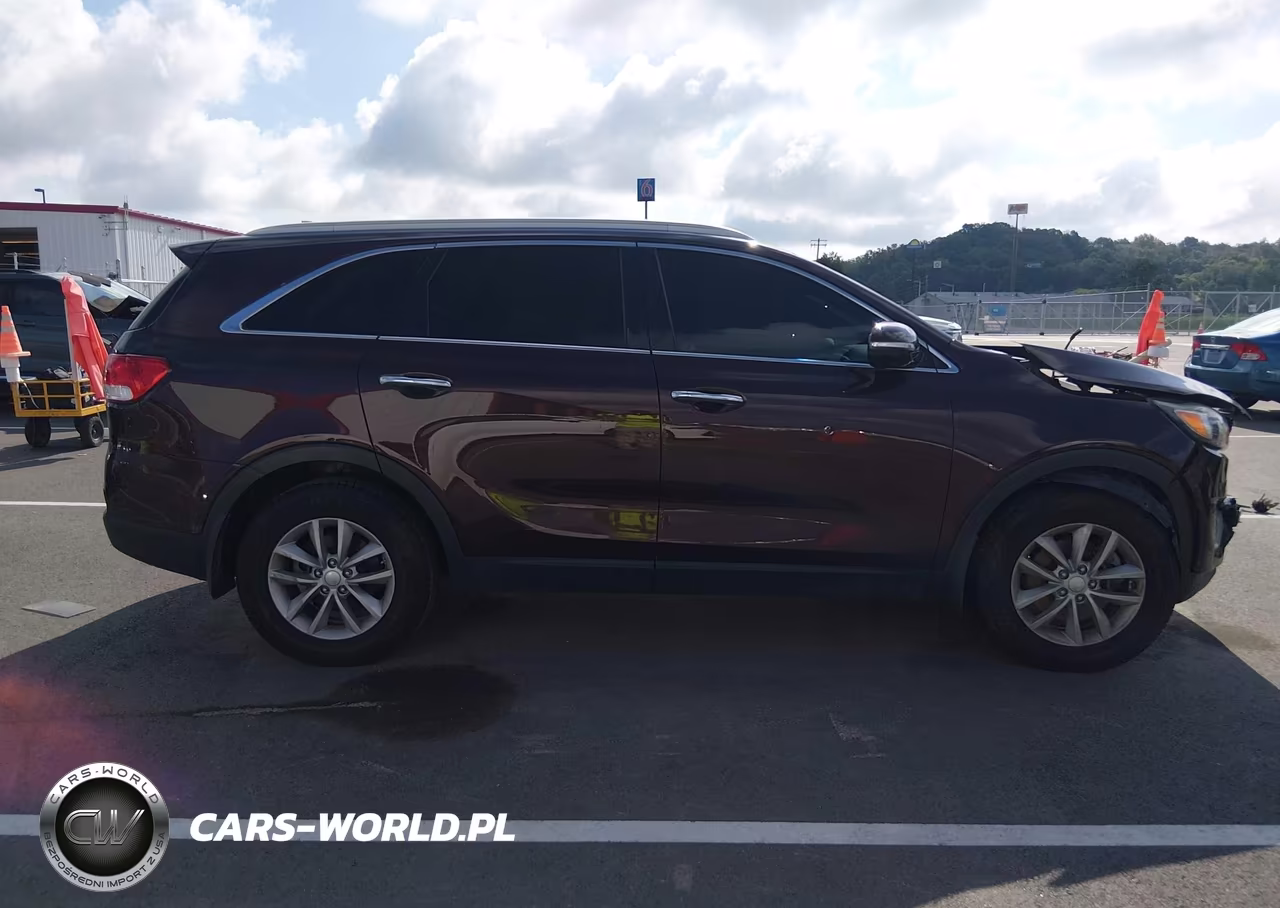 2016 Kia Sorento 2.4L Lx VIN:5XYPG4A33GG066959 - 13