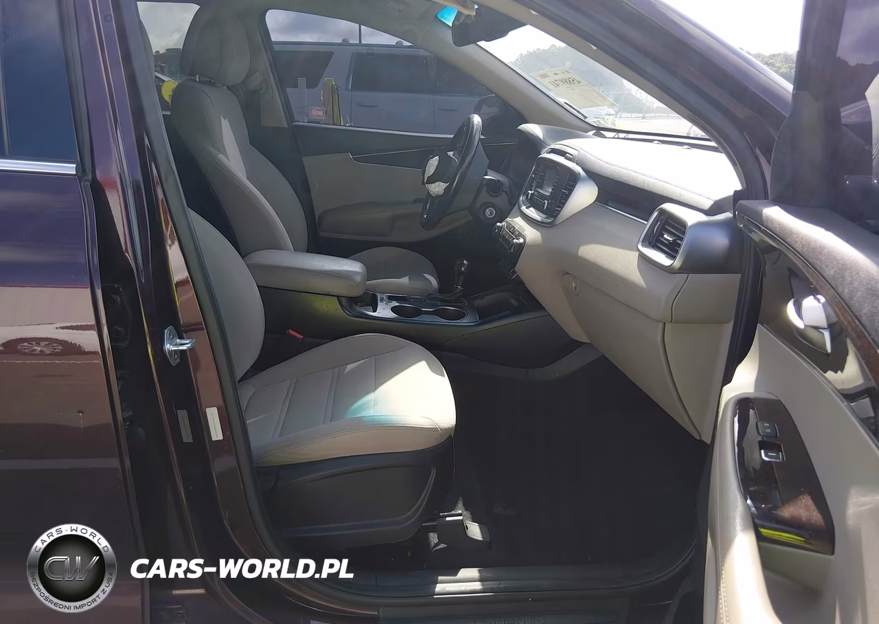 2016 Kia Sorento 2.4L Lx VIN:5XYPG4A33GG066959 - 5