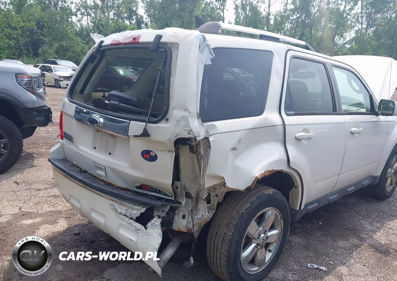 2010 Ford Escape Limited VIN:1FMCU0E74AKD39238 - 6