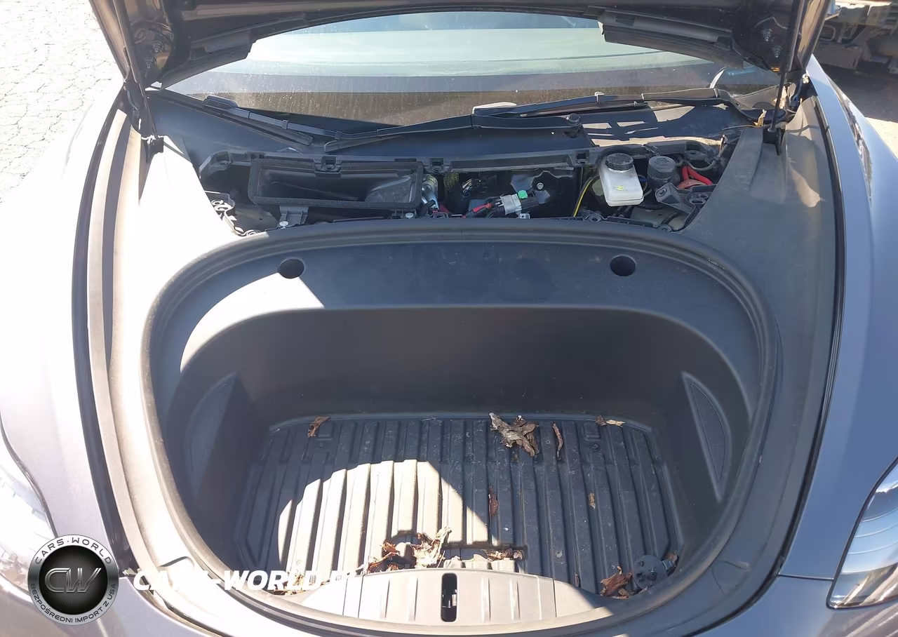 2023 Tesla Model 3 Rear-Wheel Drive VIN:5YJ3E1EA7PF655242 - 10