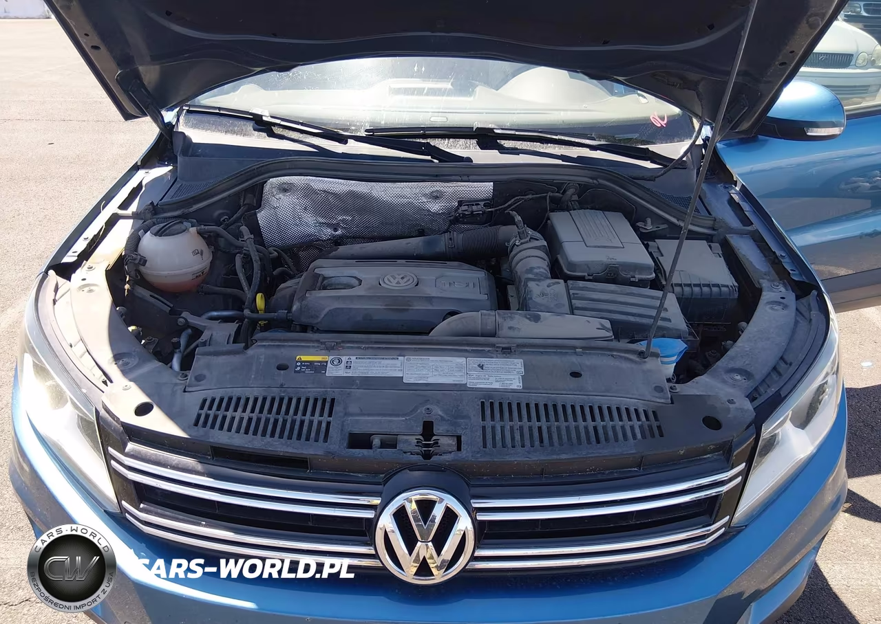 2017 Volkswagen Tiguan 2.0T-2.0T S VIN:WVGBV7AX4HK026661 - 10