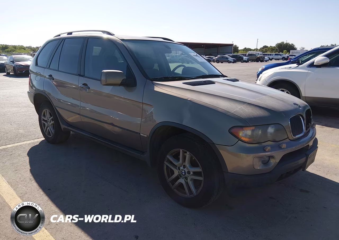 2005 BMW X5 3.0I VIN:5UXFA13595LY00465 - 1