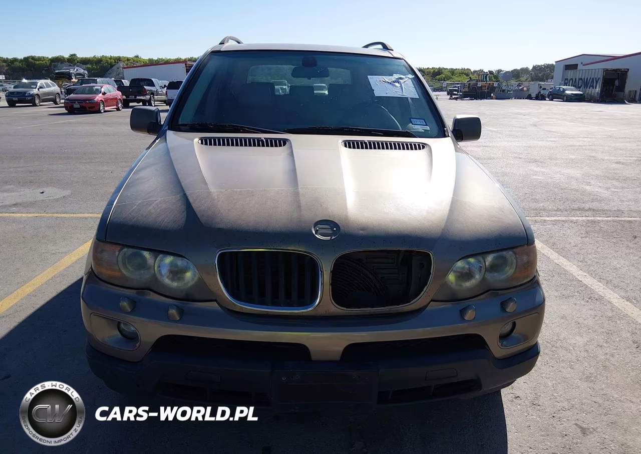 2005 BMW X5 3.0I VIN:5UXFA13595LY00465 - 6