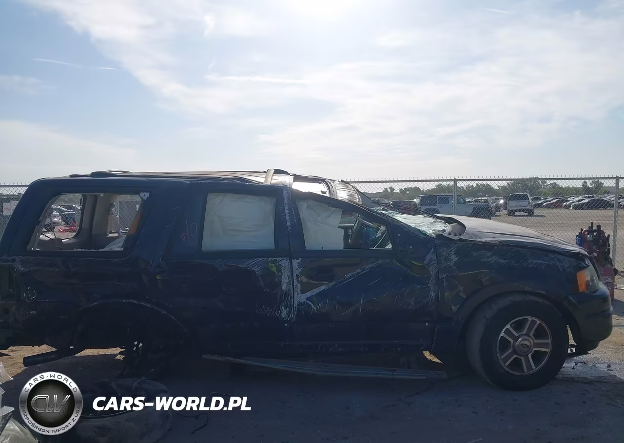 2004 Ford Expedition Eddie Bauer VIN:1FMFU18L54LB08942 - 10