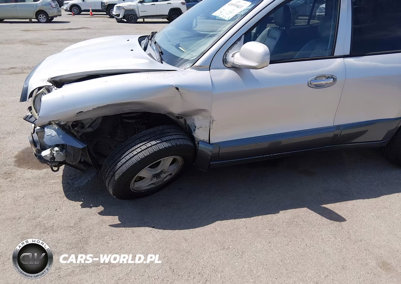 2003 Hyundai Santa Fe Gls-Lx VIN:KM8SC13DX3U467147 - 14