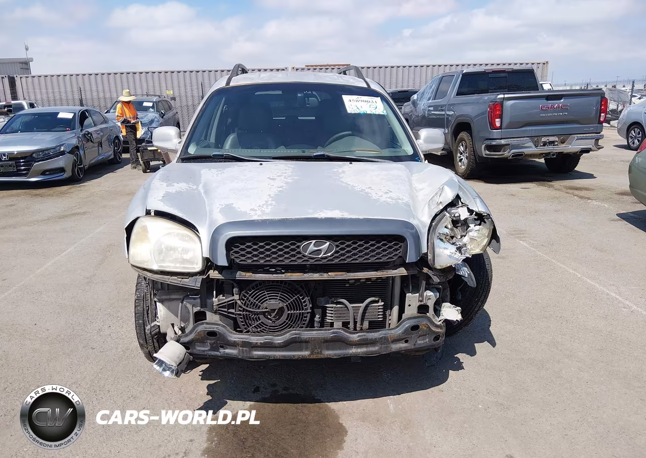 2003 Hyundai Santa Fe Gls-Lx VIN:KM8SC13DX3U467147 - 15