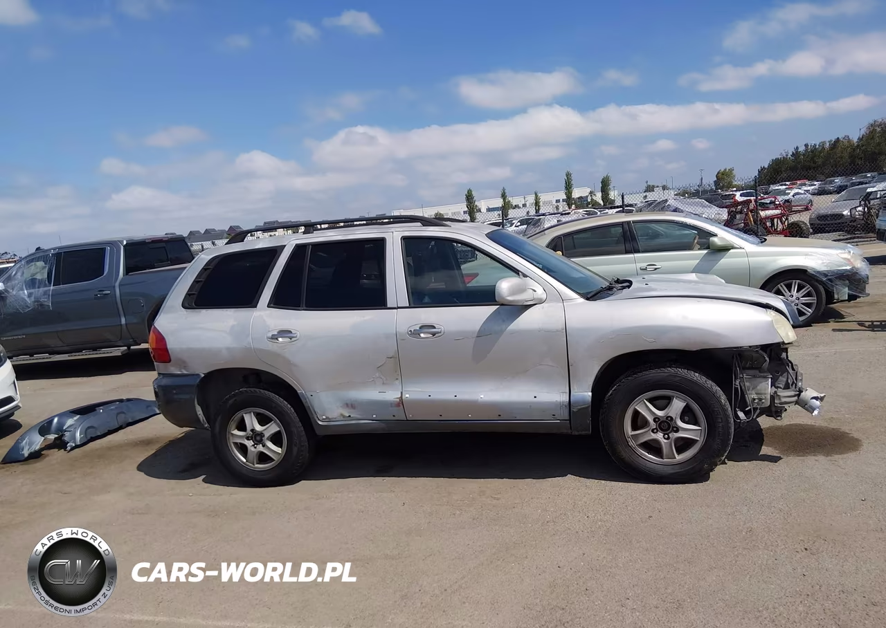 2003 Hyundai Santa Fe Gls-Lx VIN:KM8SC13DX3U467147 - 16