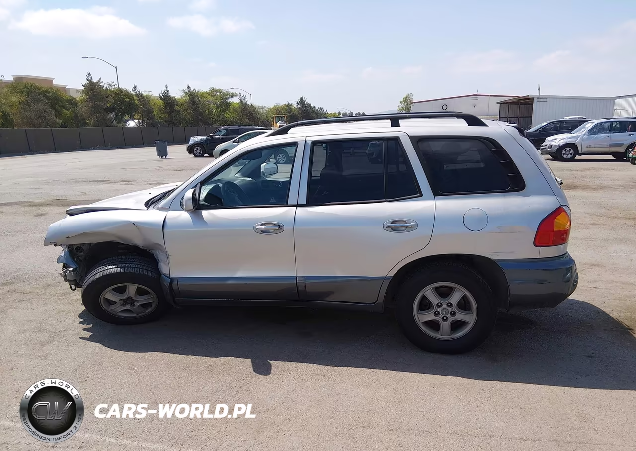 2003 Hyundai Santa Fe Gls-Lx VIN:KM8SC13DX3U467147 - 17