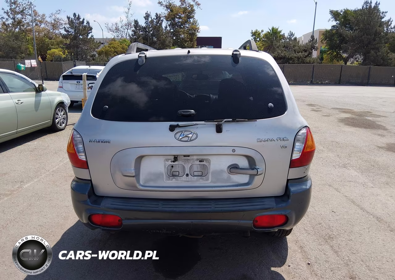 2003 Hyundai Santa Fe Gls-Lx VIN:KM8SC13DX3U467147 - 19
