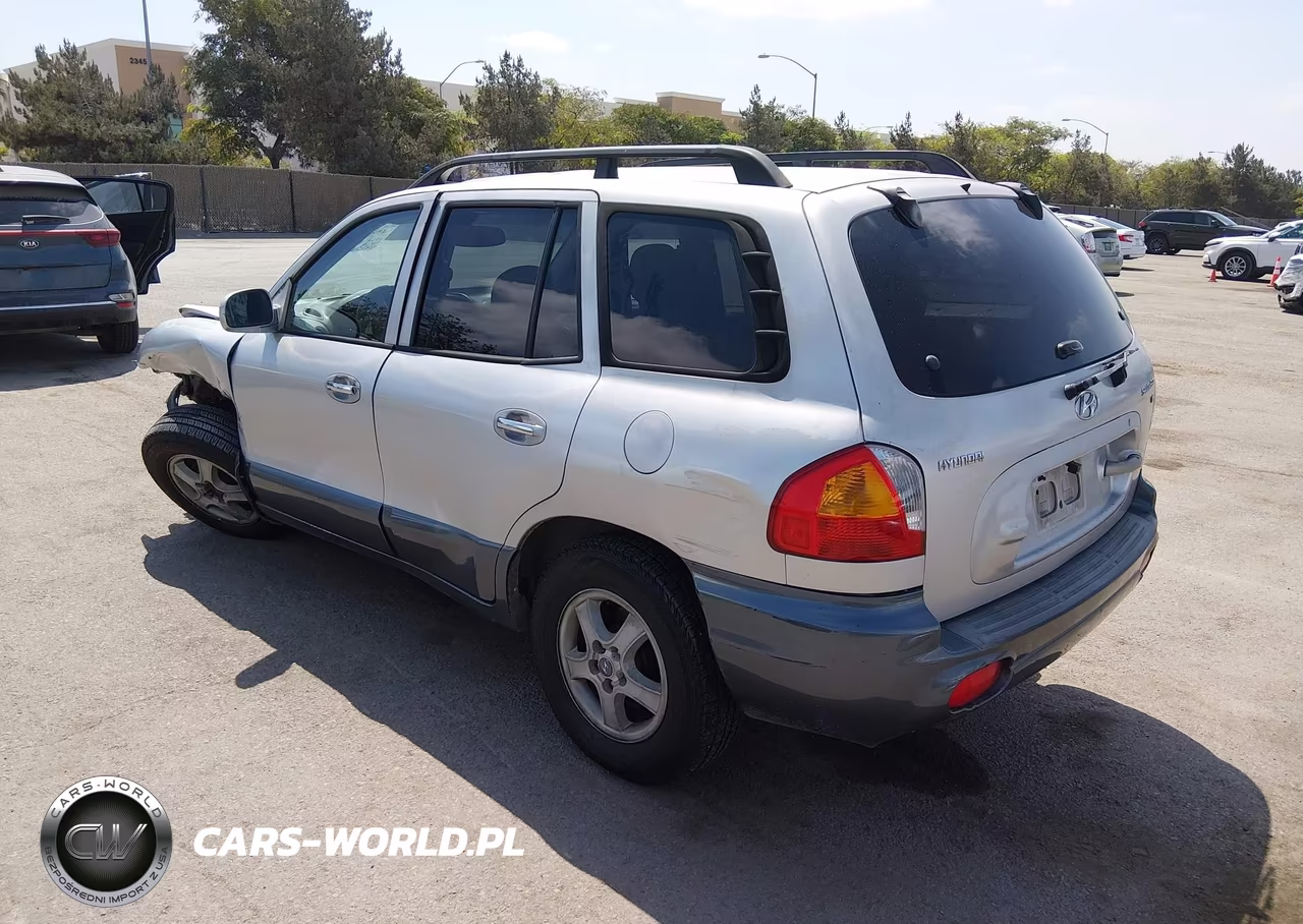 2003 Hyundai Santa Fe Gls-Lx VIN:KM8SC13DX3U467147 - 3