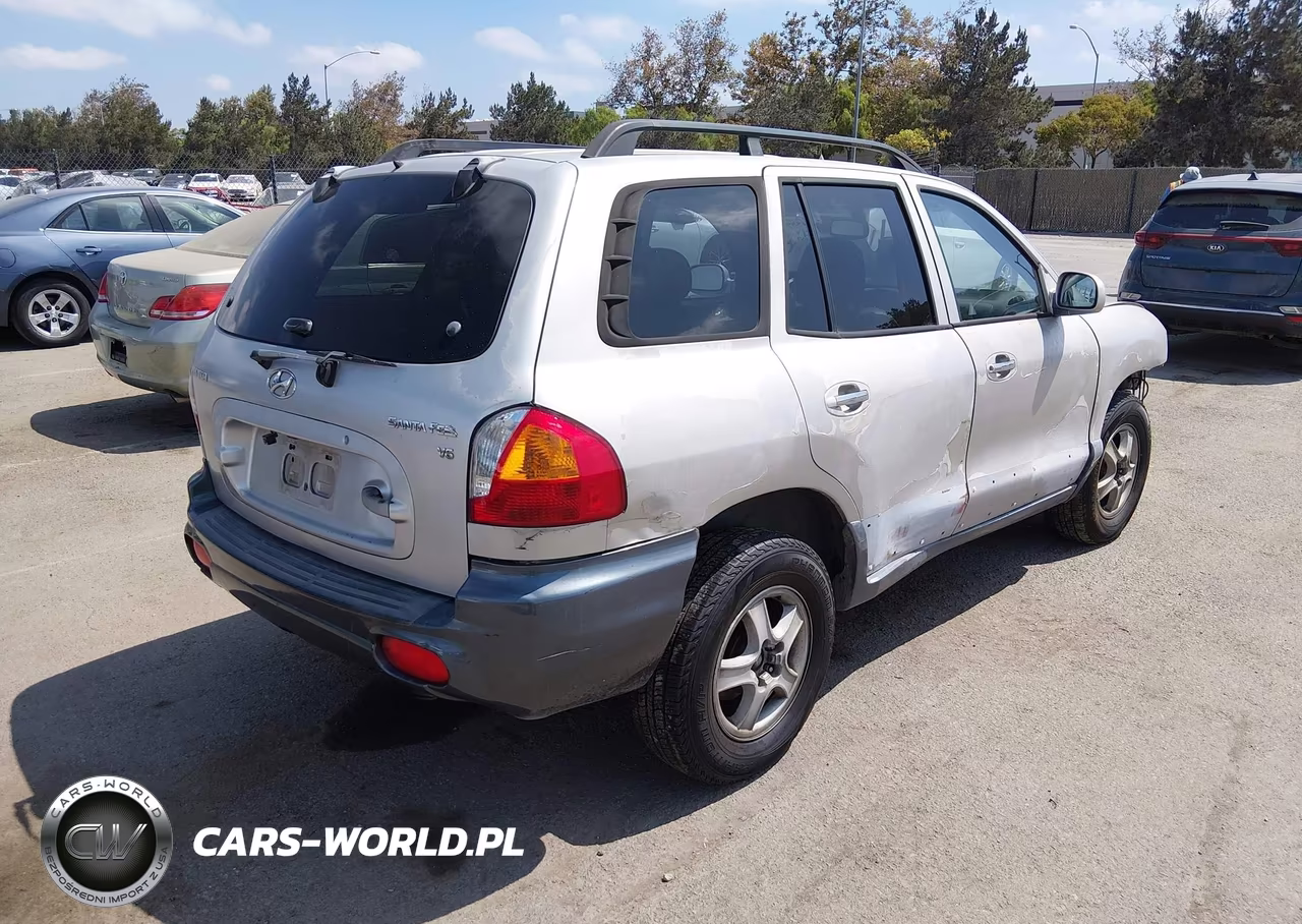 2003 Hyundai Santa Fe Gls-Lx VIN:KM8SC13DX3U467147 - 4