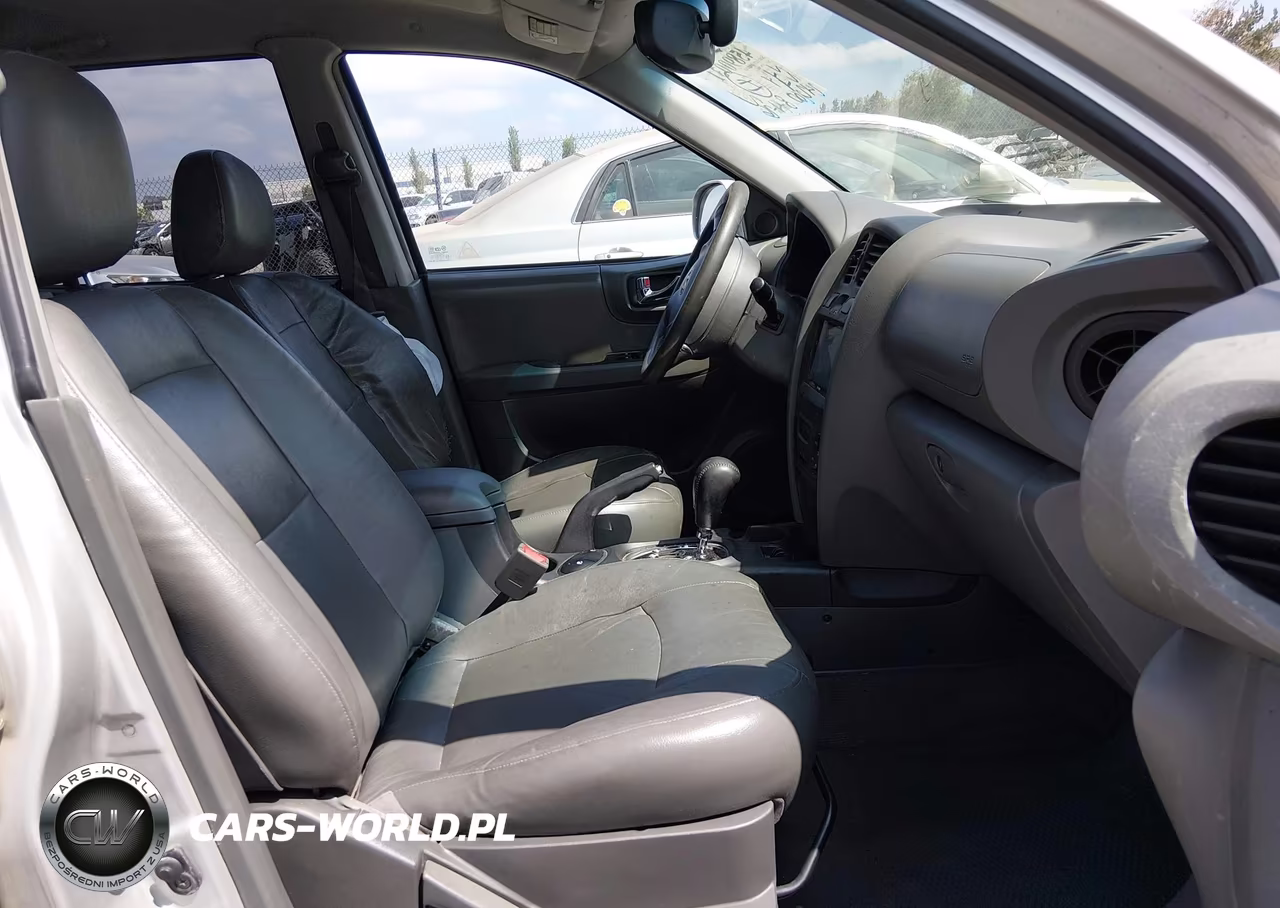 2003 Hyundai Santa Fe Gls-Lx VIN:KM8SC13DX3U467147 - 5