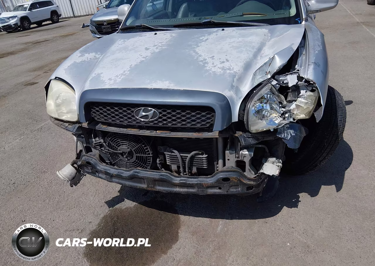 2003 Hyundai Santa Fe Gls-Lx VIN:KM8SC13DX3U467147 - 6