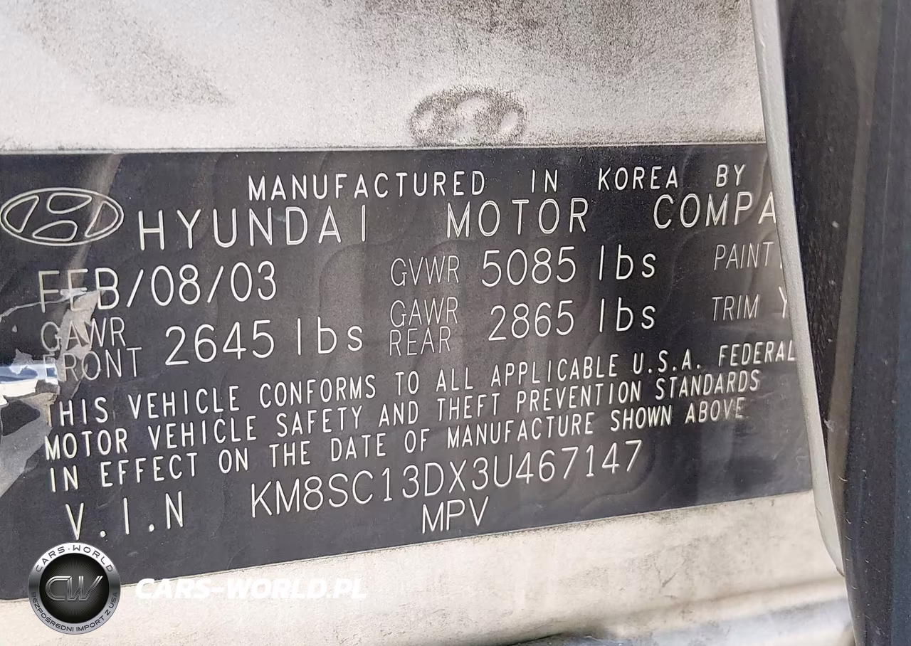 2003 Hyundai Santa Fe Gls-Lx VIN:KM8SC13DX3U467147 - 9