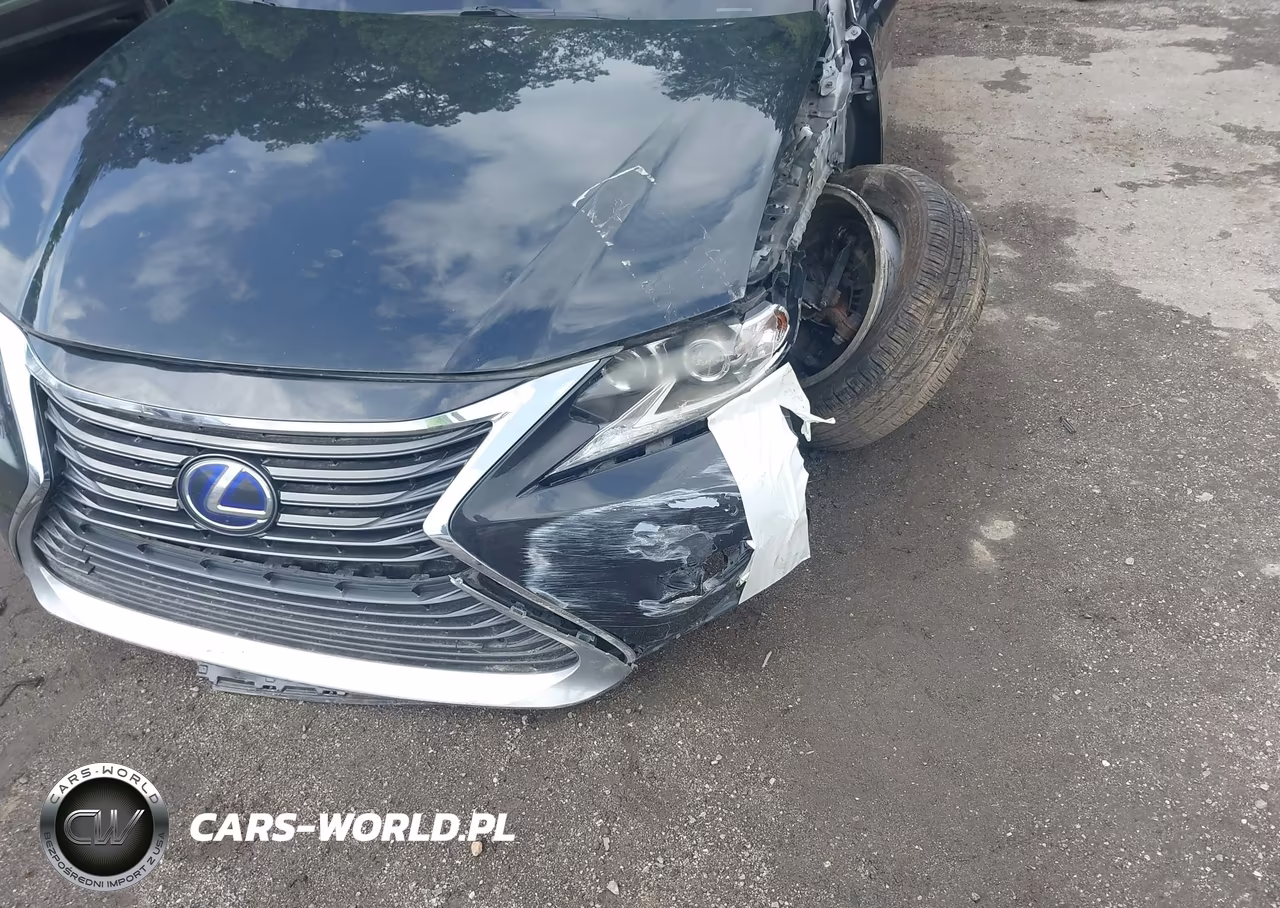 2017 Lexus Es 300H VIN:JTHBW1GG3H2142793 - 17