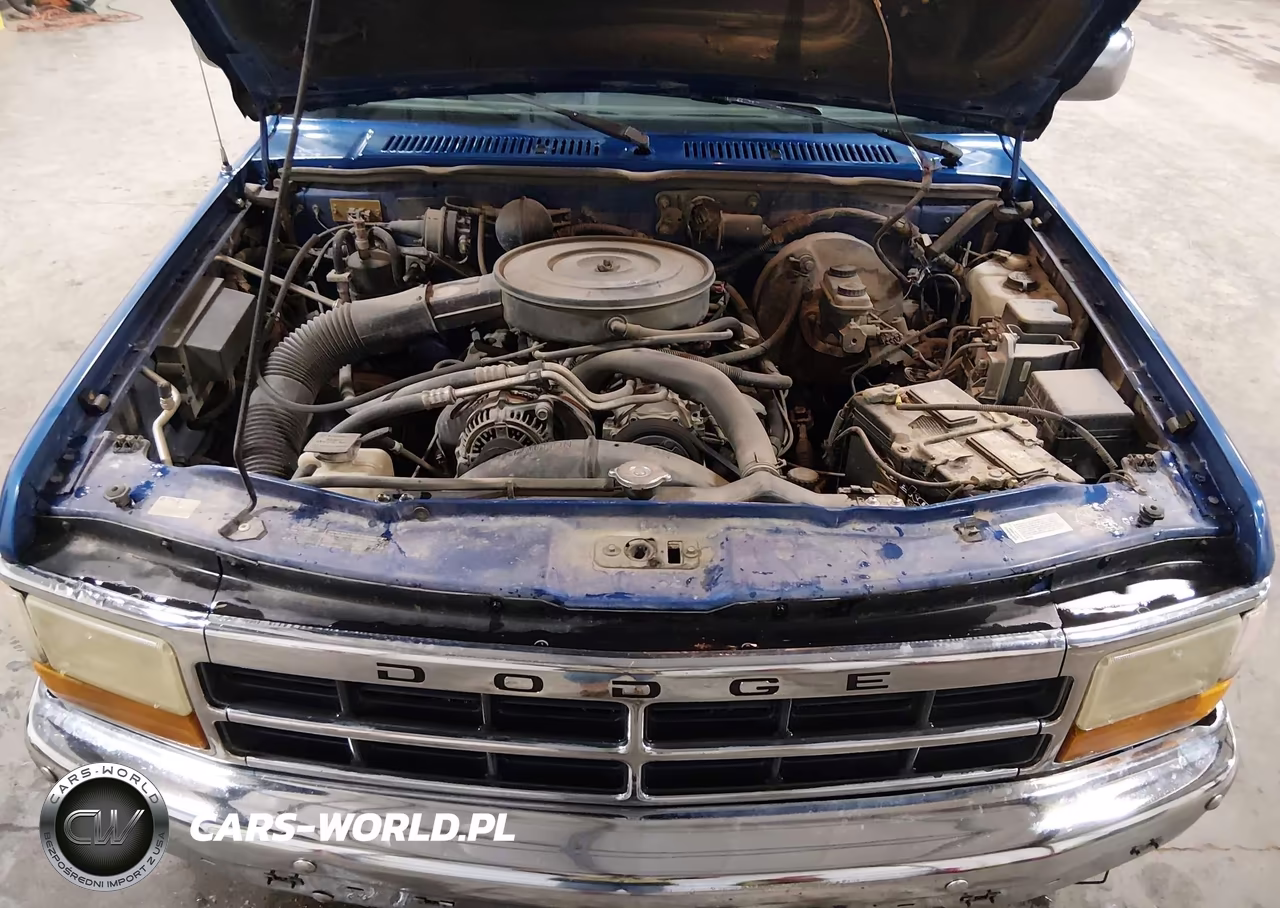 1996 Dodge Dakota VIN:1B7GG23Y5TS679084 - 10
