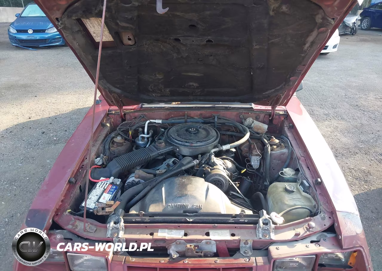 1984 Ford Mustang Glx VIN:1FABP2736EF216610 - 10