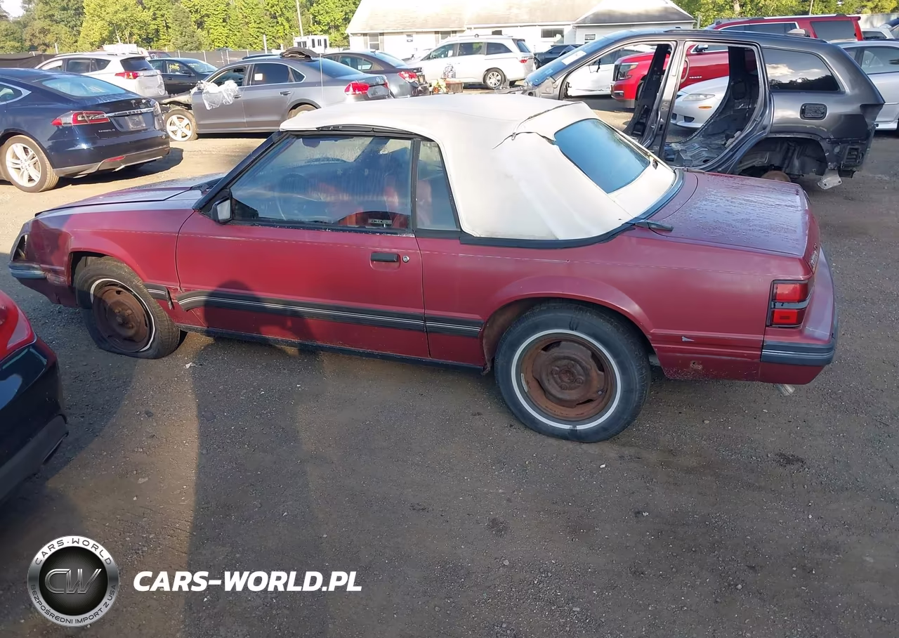 1984 Ford Mustang Glx VIN:1FABP2736EF216610 - 14