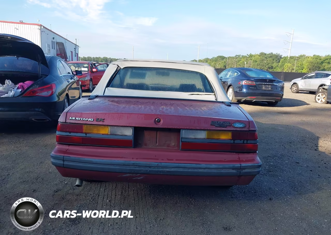 1984 Ford Mustang Glx VIN:1FABP2736EF216610 - 16
