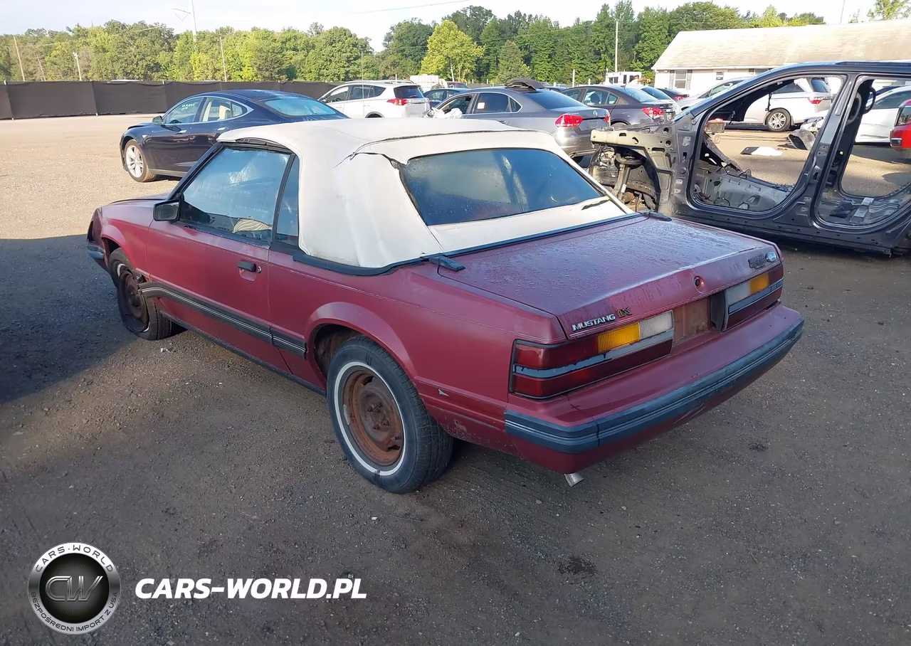 1984 Ford Mustang Glx VIN:1FABP2736EF216610 - 3