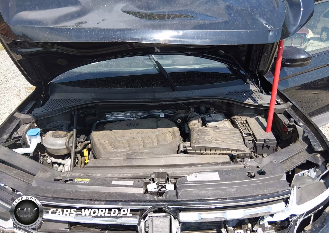 2019 Volkswagen Tiguan 2.0T S VIN:3VV1B7AX8KM146943 - 10
