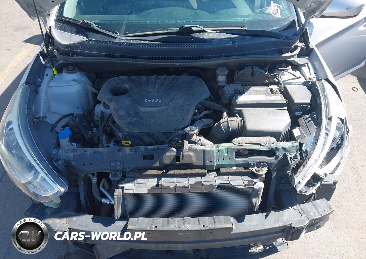 2016 Hyundai Accent Se VIN:KMHCT5AE6GU284499 - 10