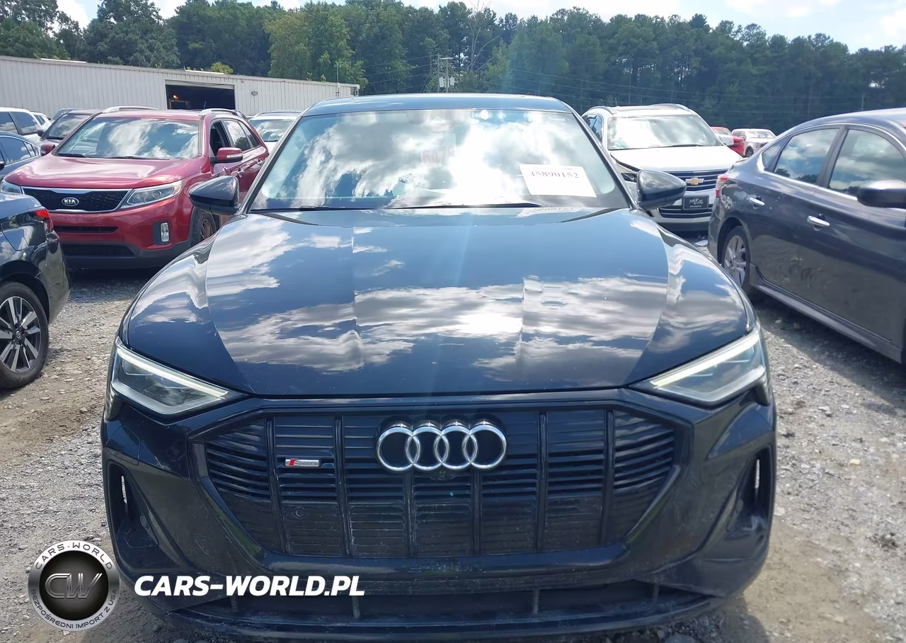 2021 Audi E-Tron Sportback Premium Plus Quattro VIN:WA12AAGE6MB013580 - 12
