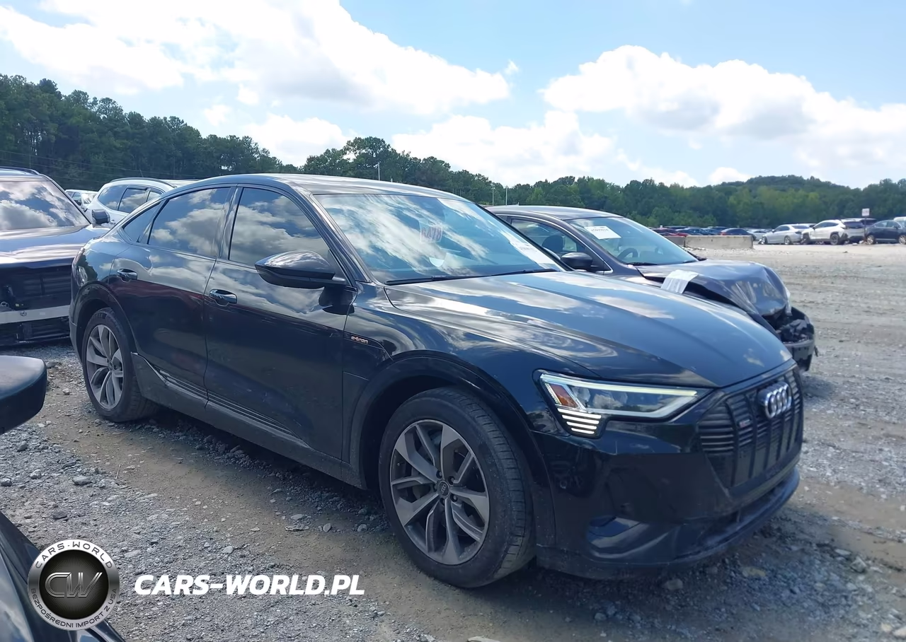 2021 Audi E-Tron Sportback Premium Plus Quattro VIN:WA12AAGE6MB013580 - 13