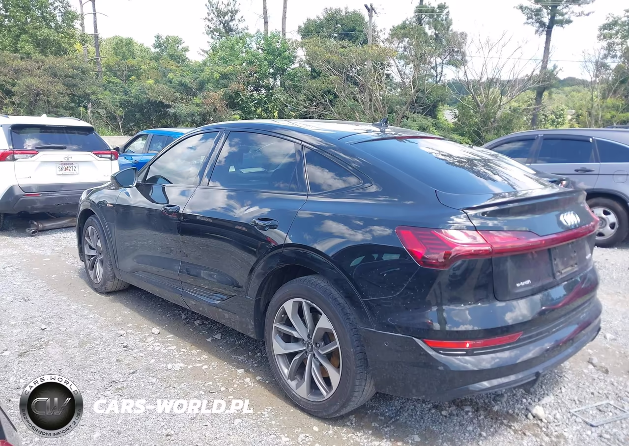 2021 Audi E-Tron Sportback Premium Plus Quattro VIN:WA12AAGE6MB013580 - 14