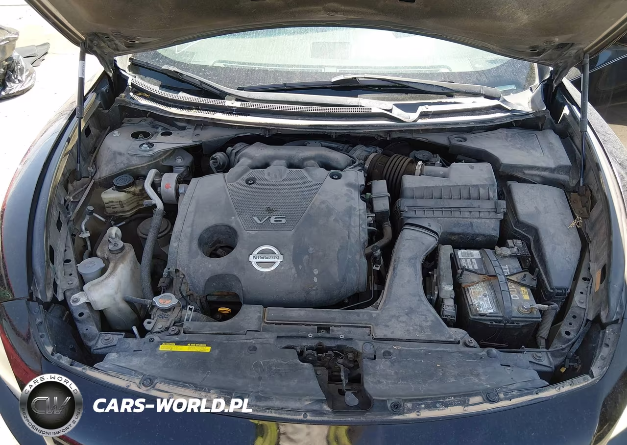 2010 Nissan Maxima 3.5 Sv VIN:1N4AA5AP1AC873790 - 10