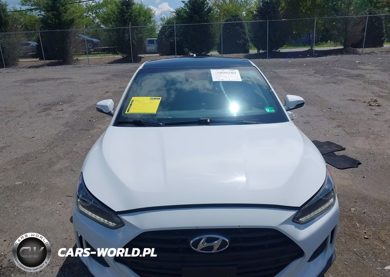2019 Hyundai Veloster 2.0 Premium VIN:KMHTG6AF5KU013851 - 12