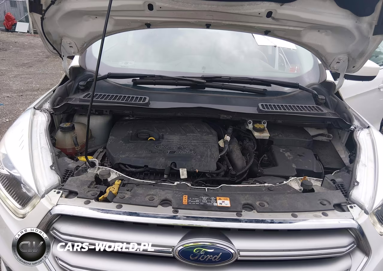 2017 Ford Escape Se VIN:1FMCU0GD7HUA21616 - 10