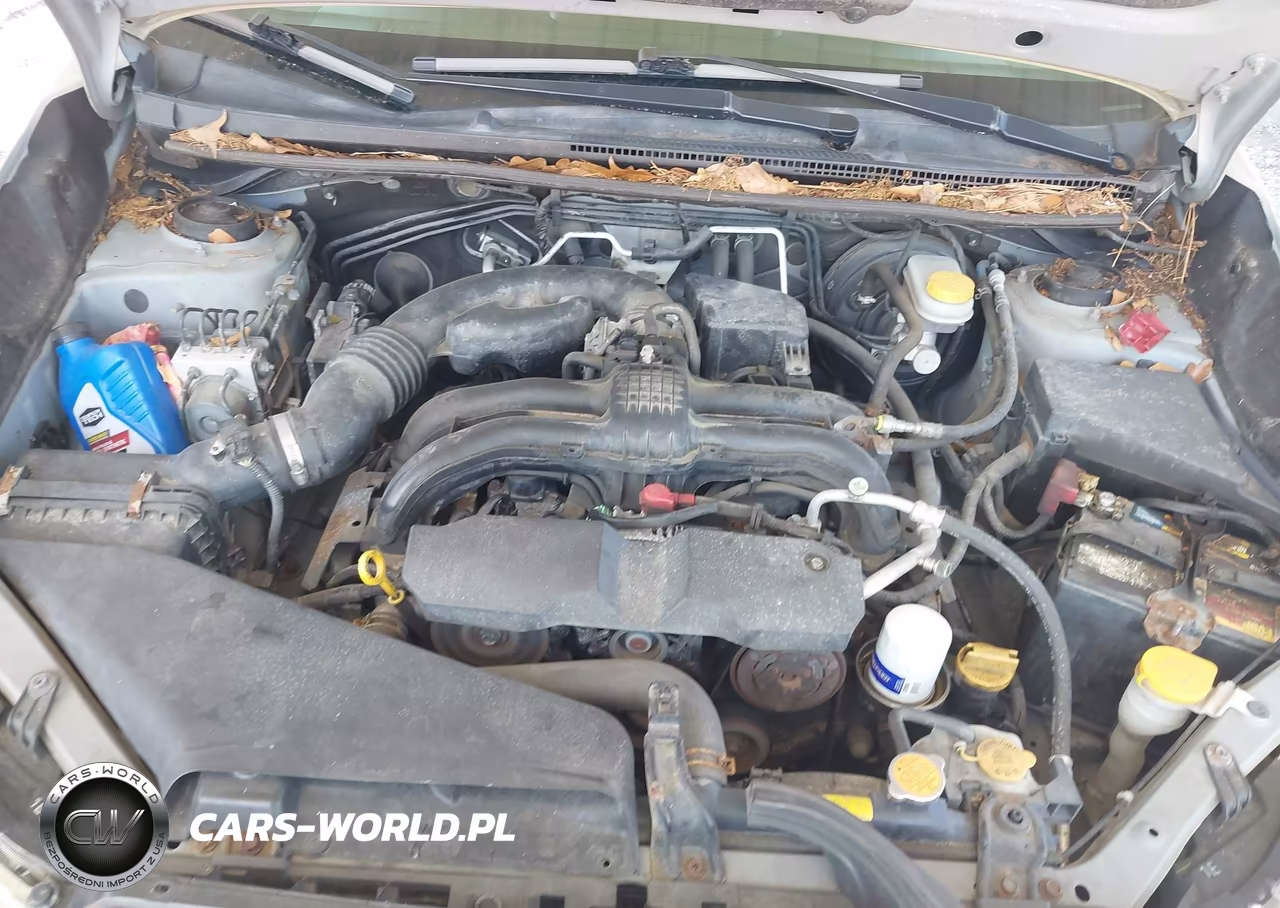2013 Subaru Xv Crosstrek 2.0I Premium VIN:JF2GPAWC2D2806791 - 10