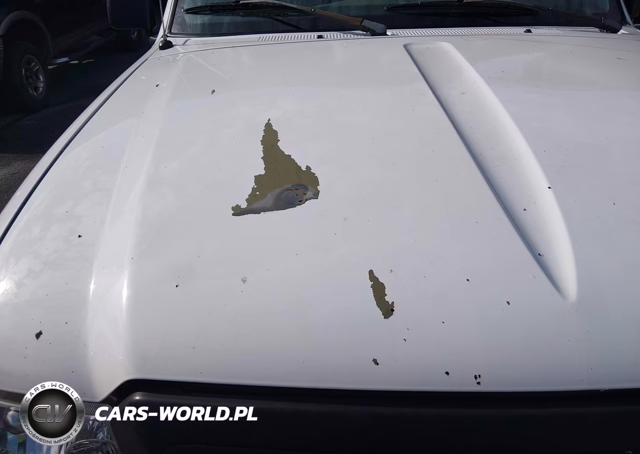 2004 Ford Ranger Edge-Tremor-Xl-Xlt VIN:1FTYR14U04PA66816 - 12
