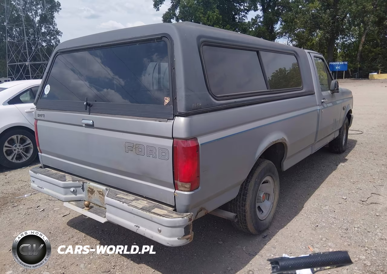 1993 Ford F150 VIN:2FTEF15Y7PCA29863 - 4