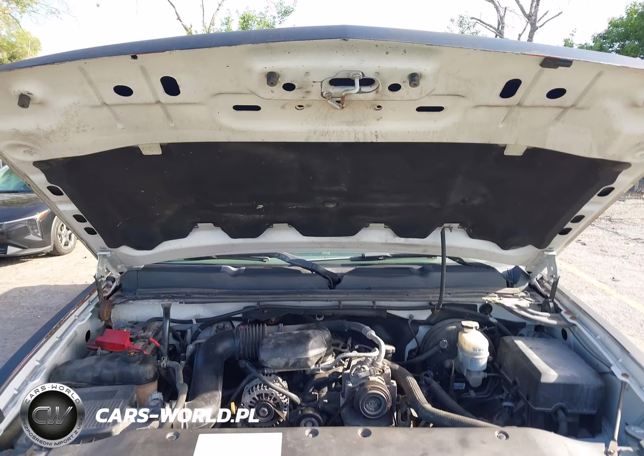 2011 Chevrolet Silverado C1500 VIN:1GCNCPEX5BZ285322 - 10