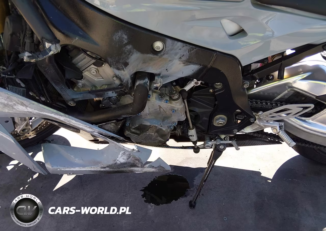 2016 BMW S 1000 Rr VIN:WB10D2104GZ353634 - 9